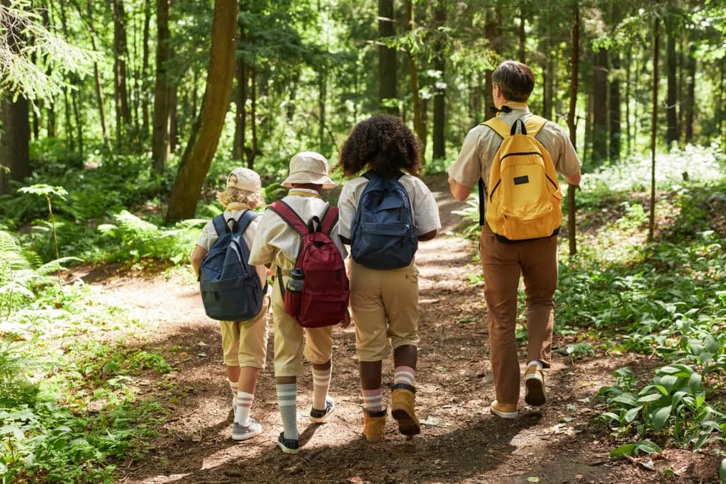 Outil Jungle Scout : analyse de marché pour vendeurs en ligne (Waxoo)