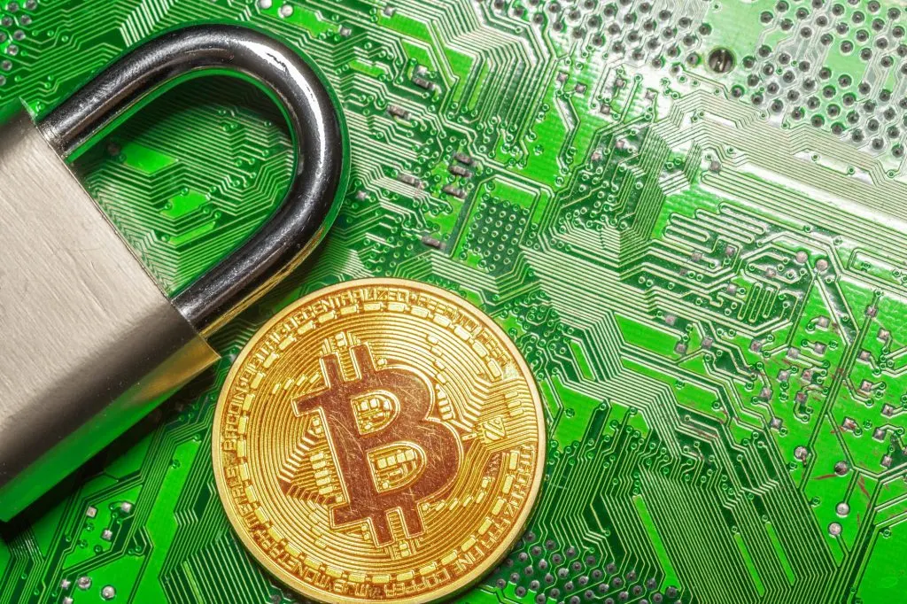Ledger : découvrez l’article complet sur Waxoo.fr