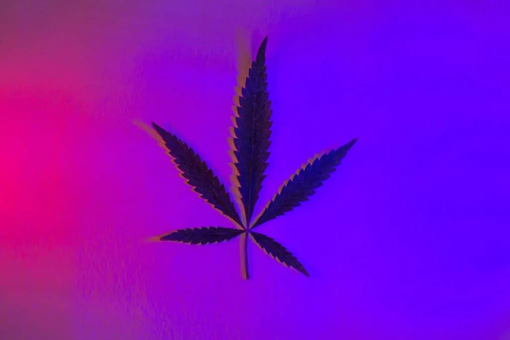 Legislation américaine : informations essentielles sur Waxoo.fr