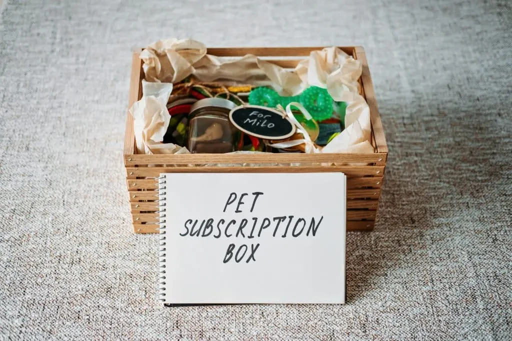 Abonnement Shopify : tout ce qu’il faut savoir | Waxoo.fr