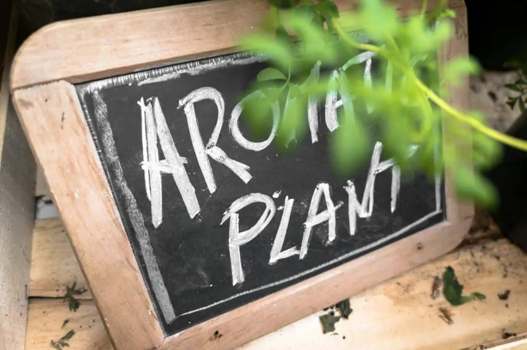 Changer nom boutique Shopify : guide pratique sur Waxoo.fr